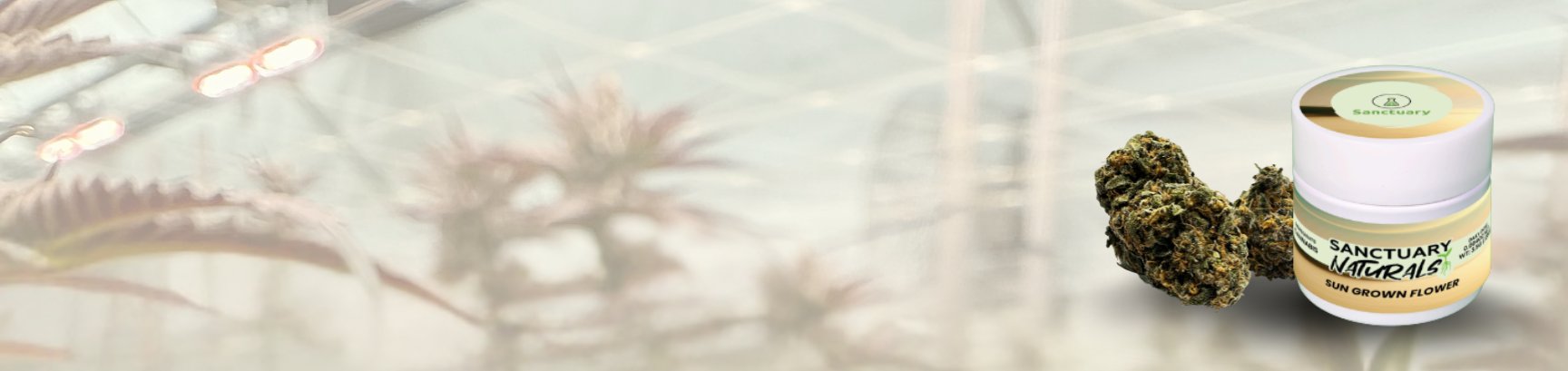 Naturals Banner