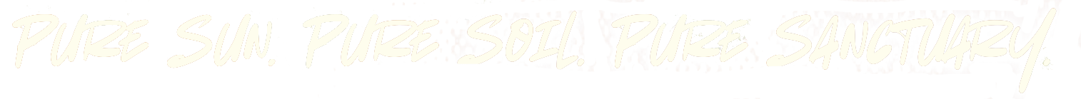 Banner 1 text