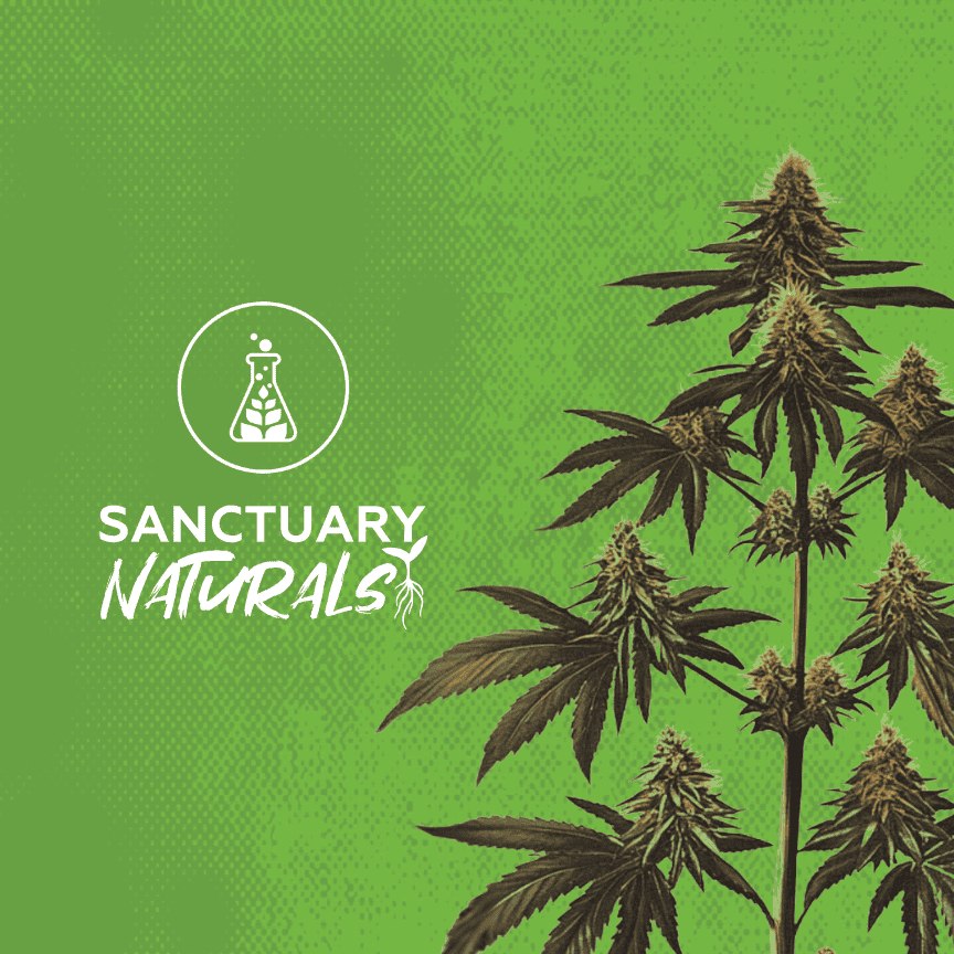 Sanctuary Products