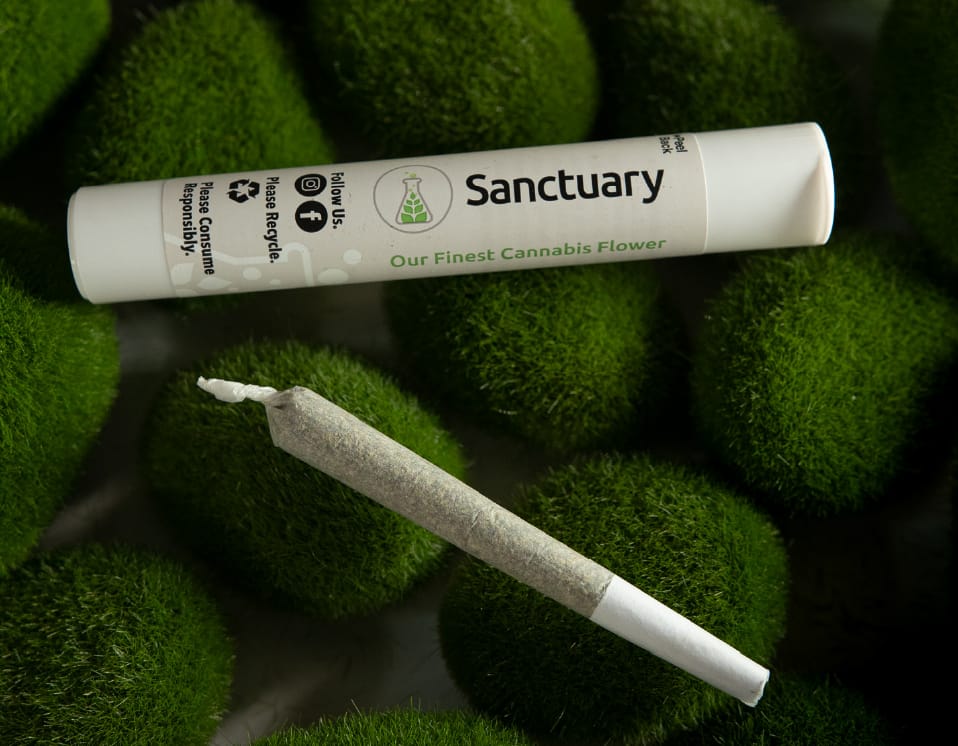 Sanctuary Products